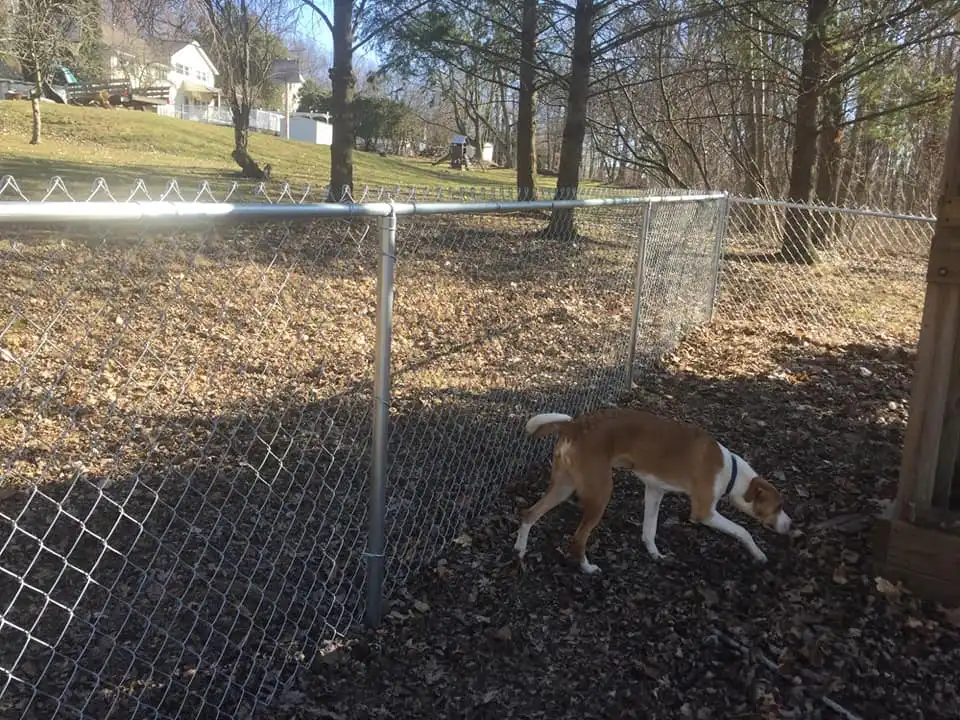 Fence Installation in Rochester NY | About